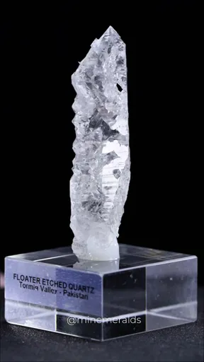 specimen video