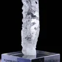 specimen video