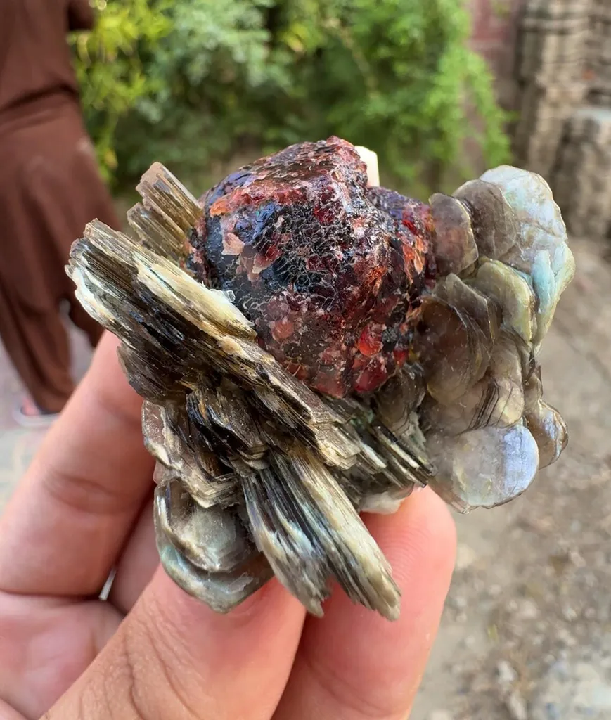 Etched spessartine Garnet on Star Muscovite mica mineral specimen FROM Pakistan image