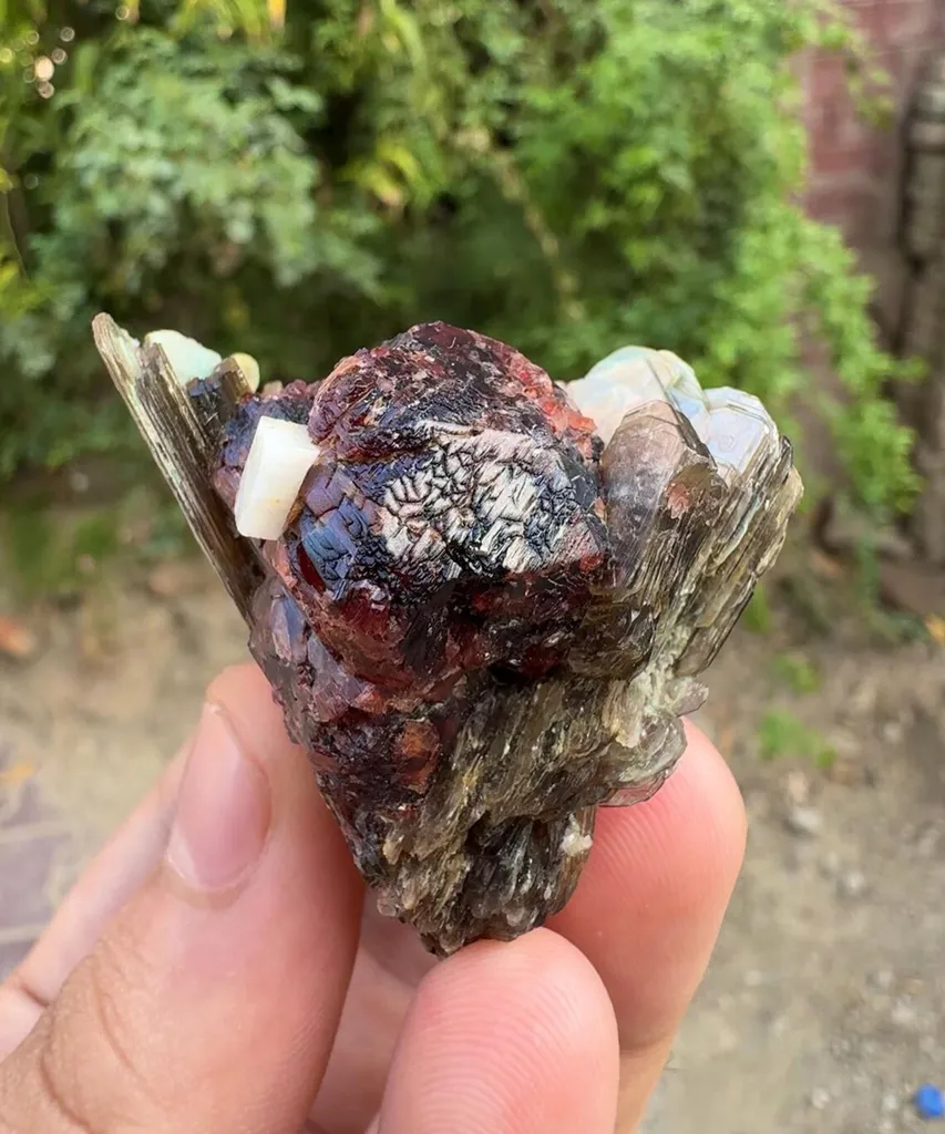 Garnet