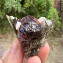 Etched spessartine Garnet on Star Muscovite mica mineral specimen FROM Pakistan - image 2