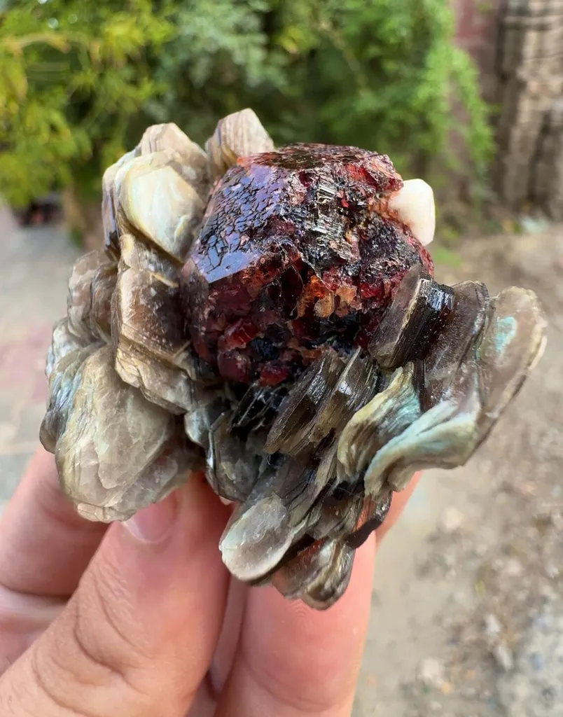 Etched spessartine Garnet on Star Muscovite mica mineral specimen FROM Pakistan - image 5