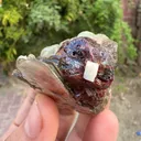 Etched spessartine Garnet on Star Muscovite mica mineral specimen FROM Pakistan - image 8
