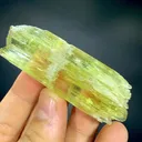 Etched Yellow Triphane spodumene crystal mineral specimen @Afghanistan kunzite - image 9