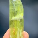 Etched Yellow Triphane spodumene crystal mineral specimen @Afghanistan kunzite - image 1