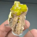 Ettringite from N'Chwaning Mines, Northern Cape, South Africa - image 2