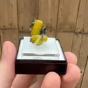 specimen video