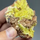 Ettringite from Wessels Mine, Northern Cape, South Africa - image 2