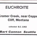 Euchroite (important US locale) - image 4