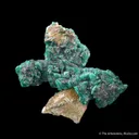 Euchroite (important US locale) - image 1