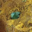 Euchroite (Type Locality) - image 5