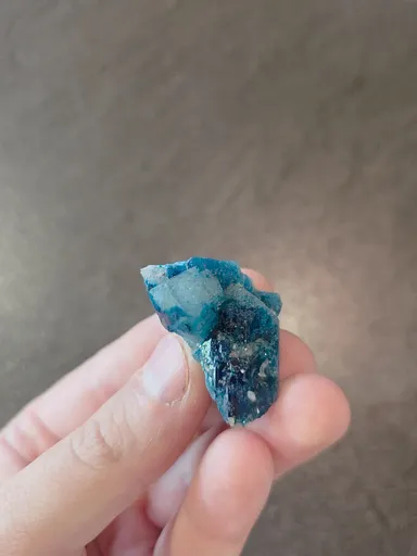 specimen video