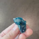 specimen video