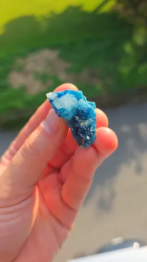 specimen video