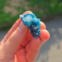 specimen video
