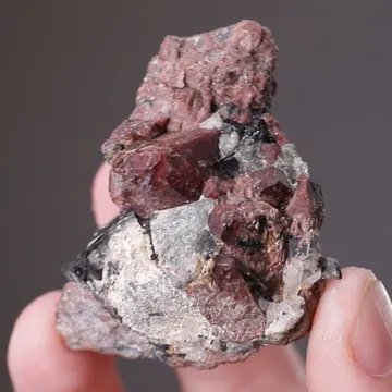 Eudialyte