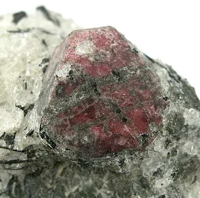 Eudialyte, Aegirine - image 2