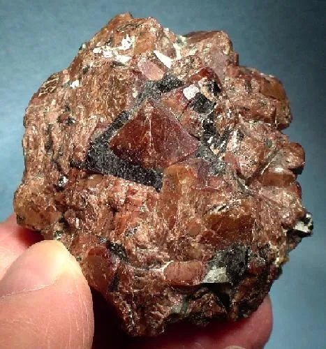 Eudialyte, Aegirine image