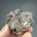 Eudialyte with Arfvedsonite - image 2