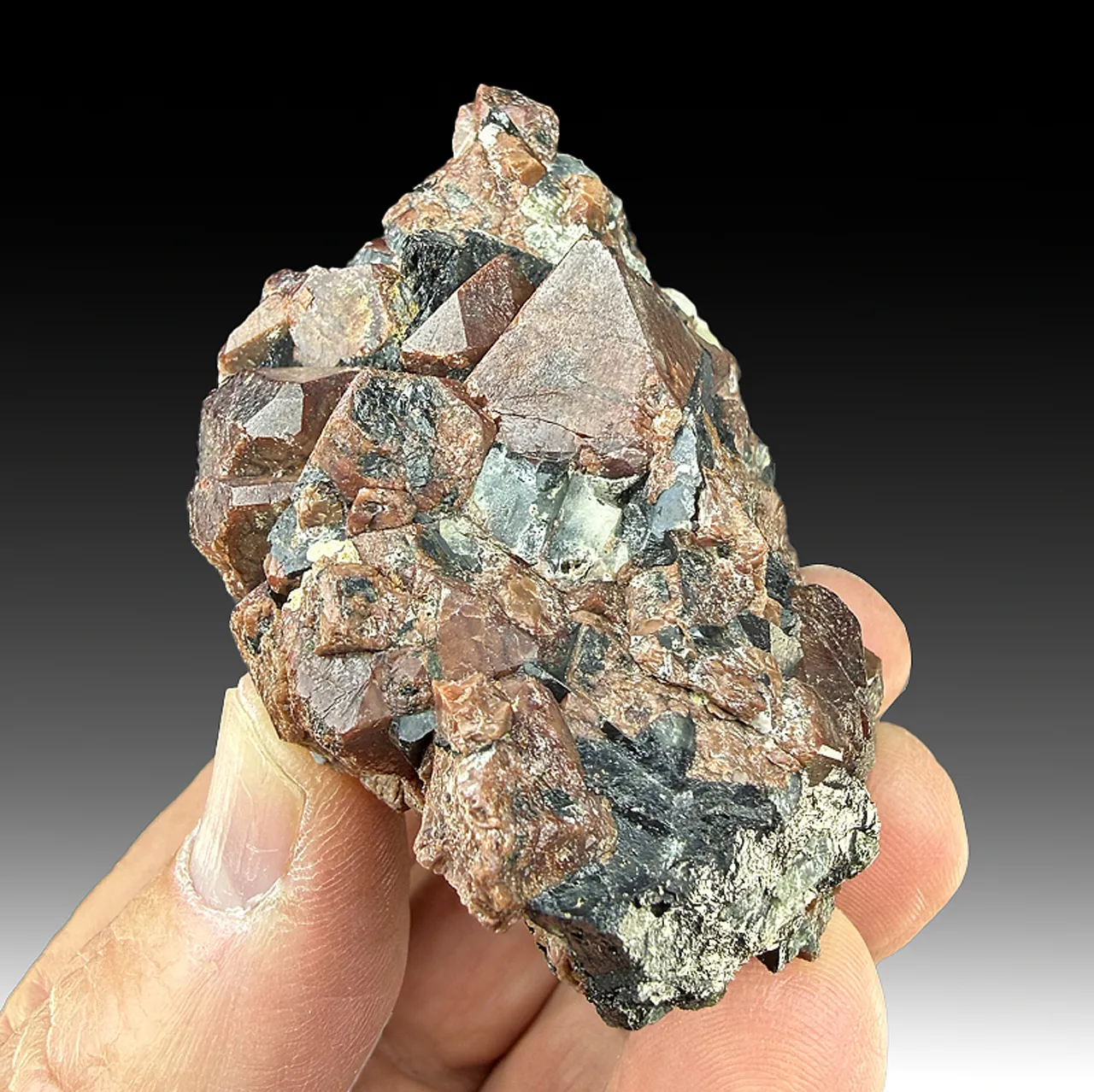 Eudialyte with Arfvedsonite - image 1