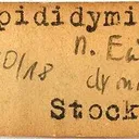 Eudidymite - image 2