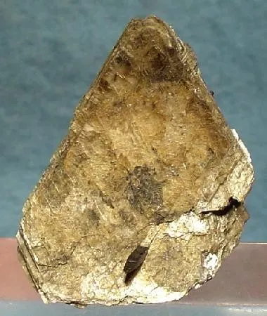Eudidymite image