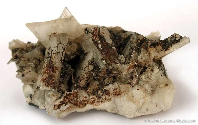 Eudidymite image