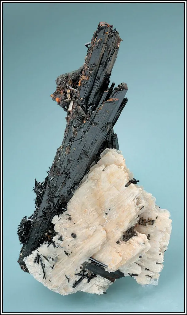 Eudidymite, Aegirine image