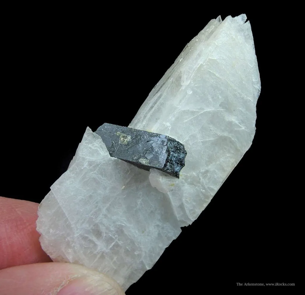 Eudidymite and Aegirine - image 2