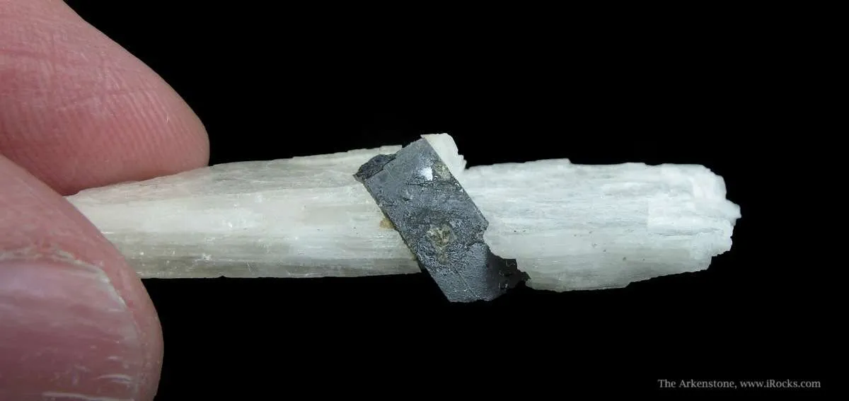 Eudidymite and Aegirine - image 3