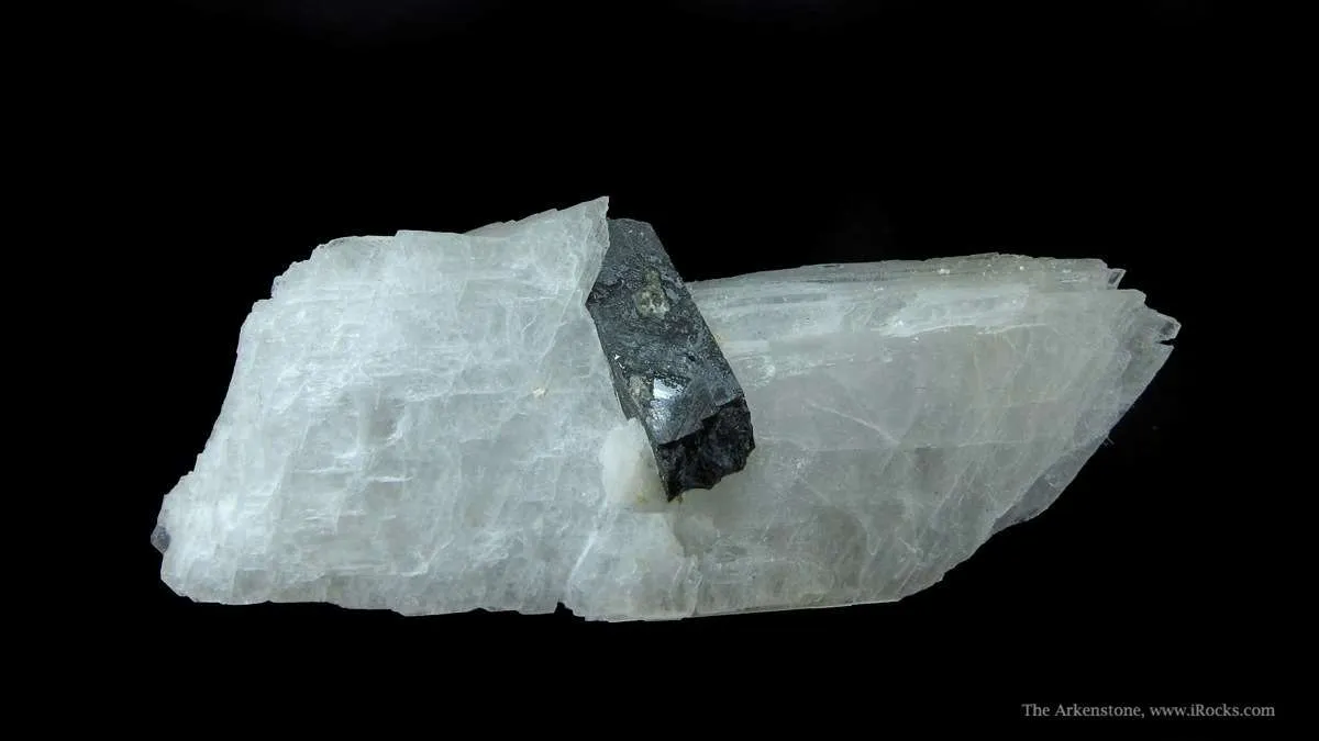 Eudidymite and Aegirine - image 1