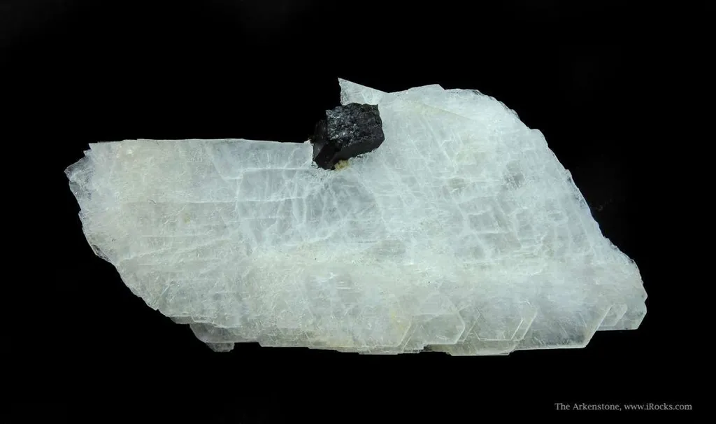 Eudidymite and Aegirine - image 4