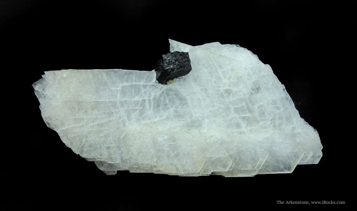 Eudidymite and Aegirine - image 4