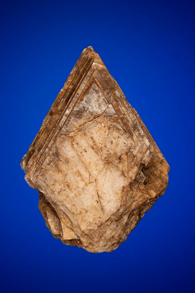 Eudidymite image