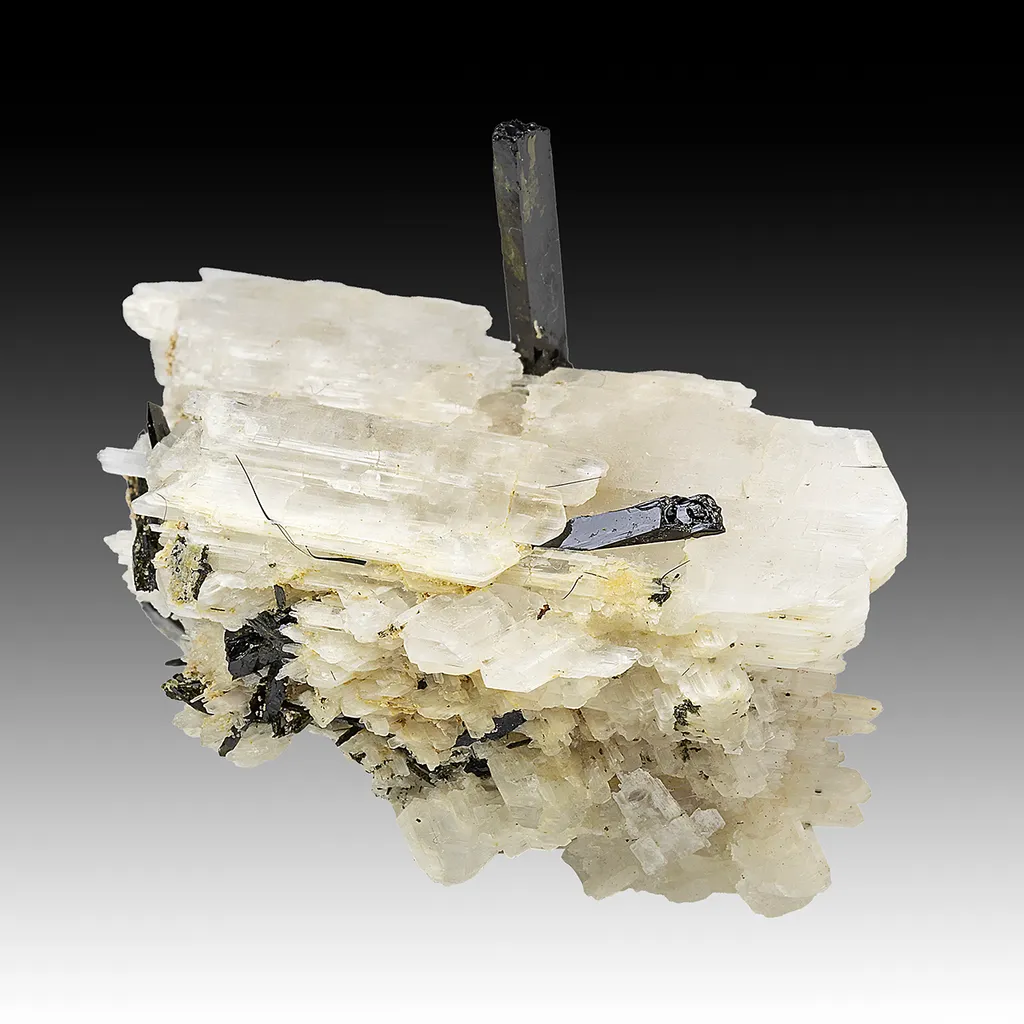 Eudidymite with Aegirine image