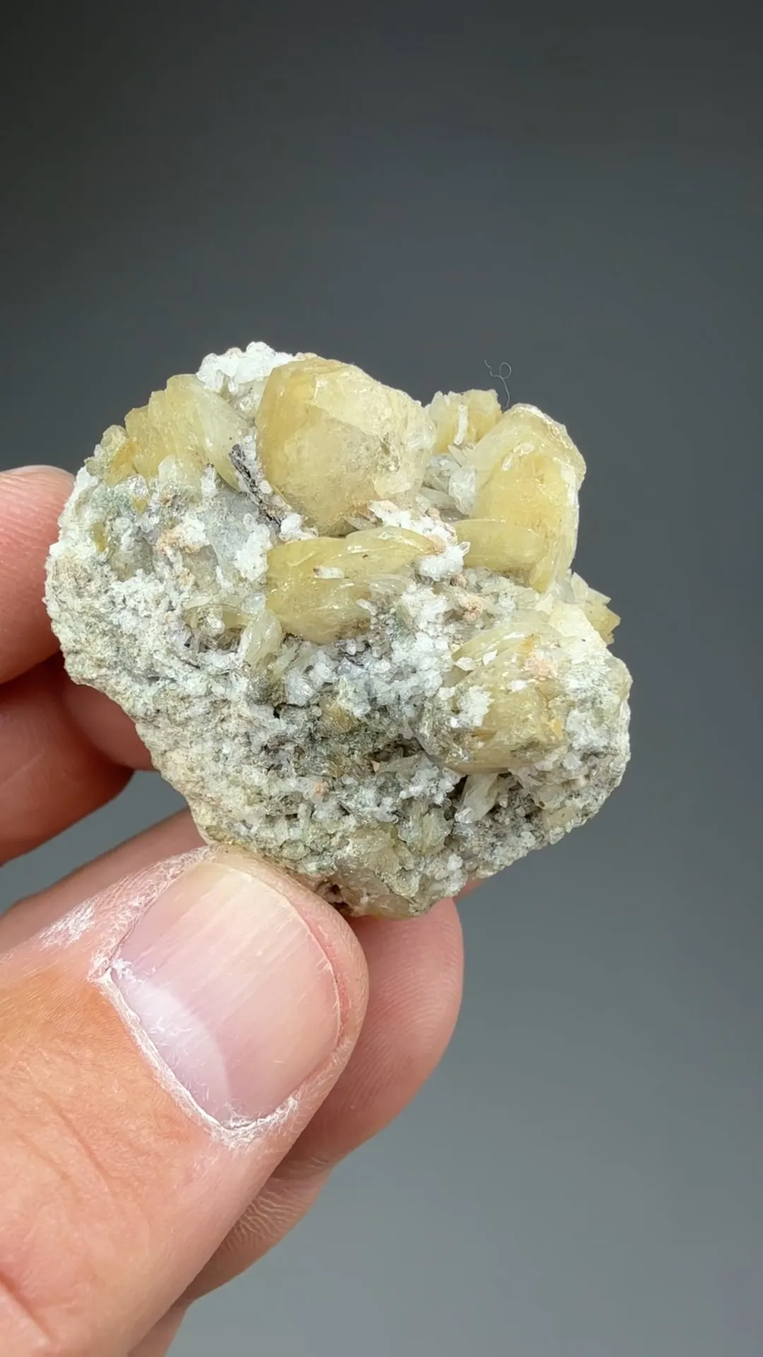 Eudidymite with Catapleiite - image 2