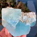 specimen video