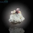 Exceptional Vayrynenite Specimen - image 2