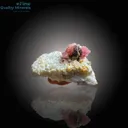 Exceptional Vayrynenite Specimen - image 1