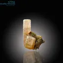 Exquisite Apatite Crystal – Radiant Mineral Specimen - image 3