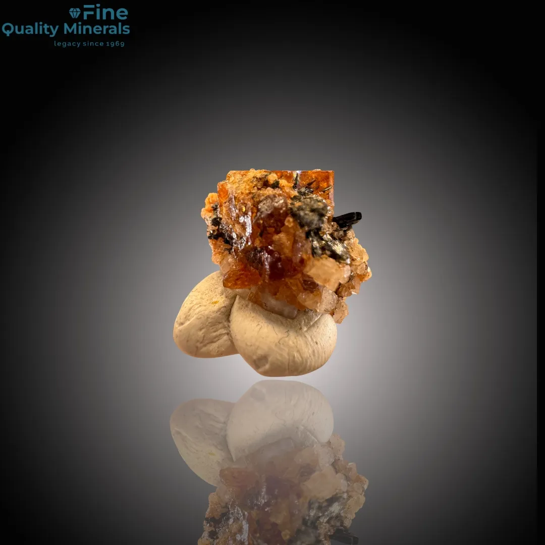 Exquisite Bastnaesite and Schorl from Zagi Mountains – A Rare Gem - image 2