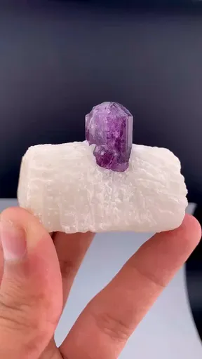 specimen video