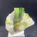 Exquisite Green Tourmaline Crystal Cluster on Quartz Matrix - image 4