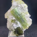 Exquisite Green Tourmaline Crystal Cluster on Quartz Matrix - image 1