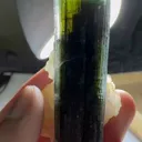 specimen video