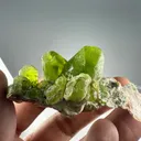 Exquisite Peridot Bunch Crystal – Supat Valley, Pakistan - image 5