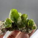 Exquisite Peridot Bunch Crystal – Supat Valley, Pakistan - image 2