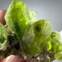 Exquisite Peridot Bunch Crystal – Supat Valley, Pakistan - image 3