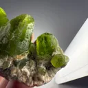 Exquisite Peridot Bunch Crystal – Supat Valley, Pakistan - image 6