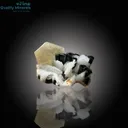 Exquisite Tourmaline with Muscovite - image 3